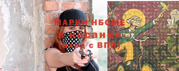 крисы Алзамай