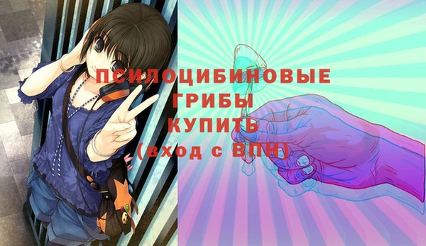 крисы Алзамай