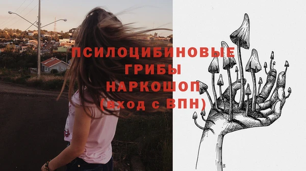 spice Абинск